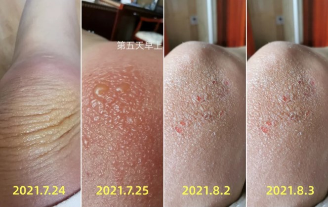 屏幕截圖 2025-11-27 163319.jpg